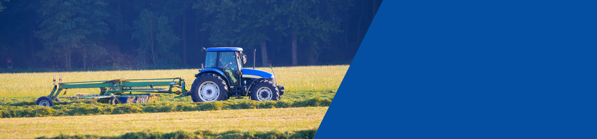 PT Ford New Holland TS 100